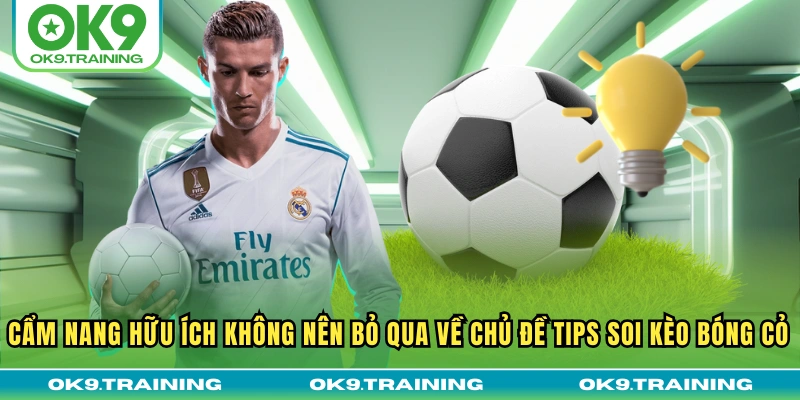 Bật Mí Cho Bạn Tips Soi Kèo Bóng Cỏ Từ Chuyên Gia Bất Bại 1 Cẩm nang hữu ích không nên bỏ qua về chủ đề tips soi kèo bóng cỏ