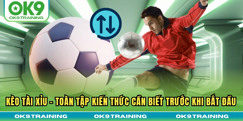 Kèo Tài Xỉu | Toàn Tập Kiến Thức Cần Biết Trước Khi Bắt Đầu